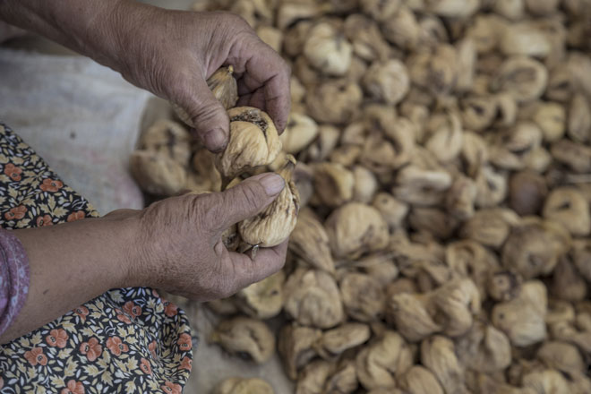 Femme qui tient dans ses mains des figues sèches