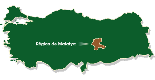 Carte de la Turquie avec focus sur la région de Malatya à l'Est du pays