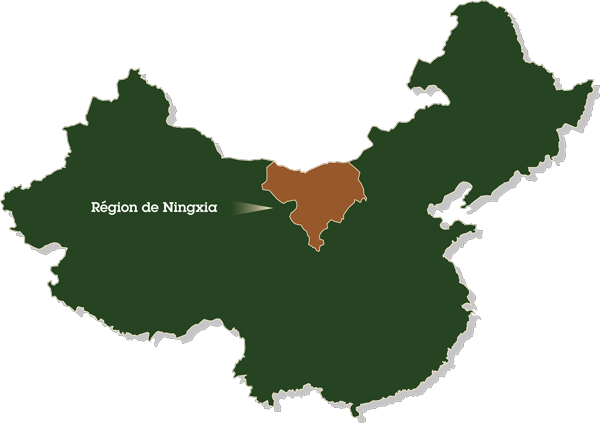 Carte de la Chine avec focus sur la région de Ningxia au nord du pays