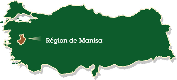 carte de la turquie avec la région de Manisa